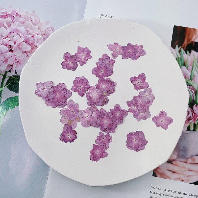 Real Double Layered Petal Purple Hydrangea for Phone Cases Handmade Soap DIY Crafts
