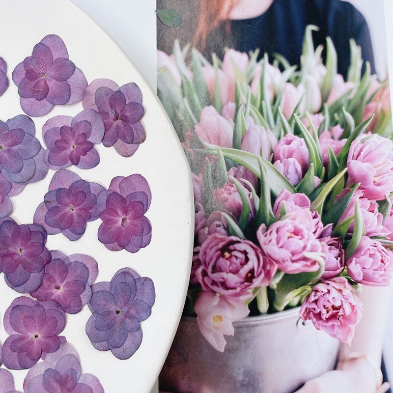 Real Double Layered Petal Purple Hydrangea for Phone Cases Handmade Soap DIY Crafts