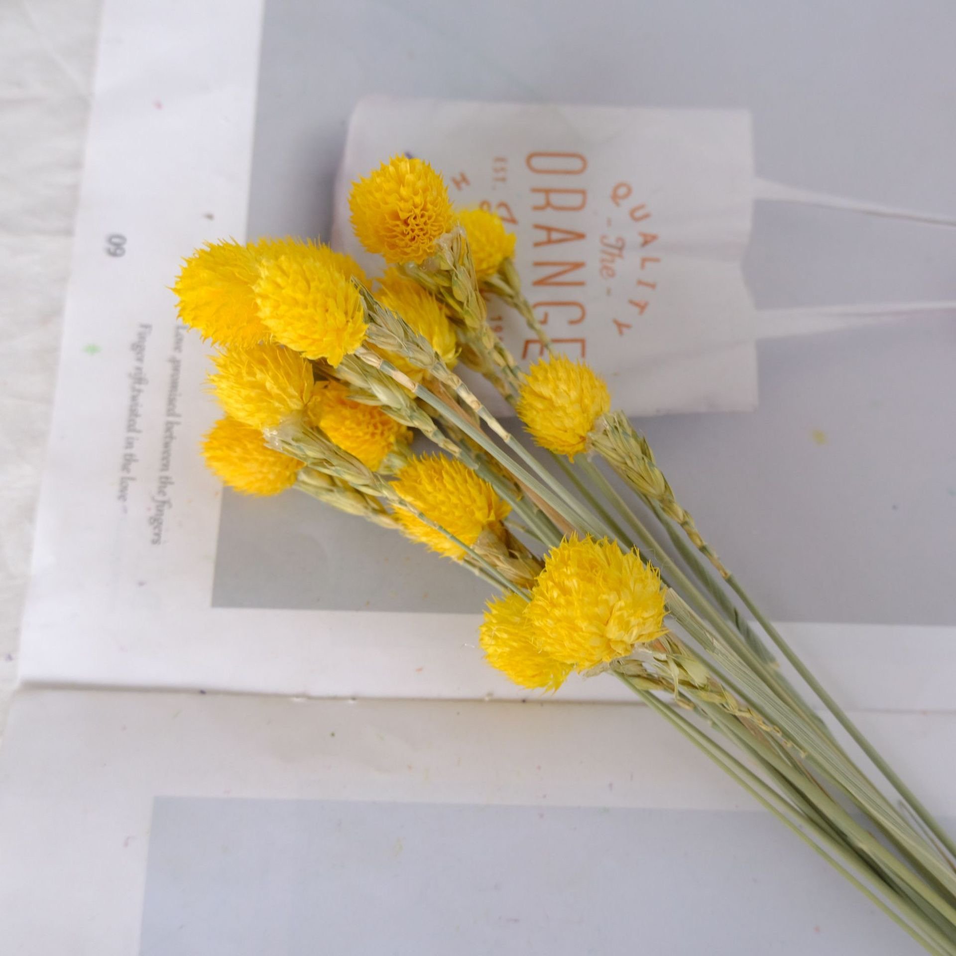 Hot Selling Dried Plant Strawberry Fruit Flower Gomphrena Provided to Wedding Decor Love Office and Birthday Gift Dried F