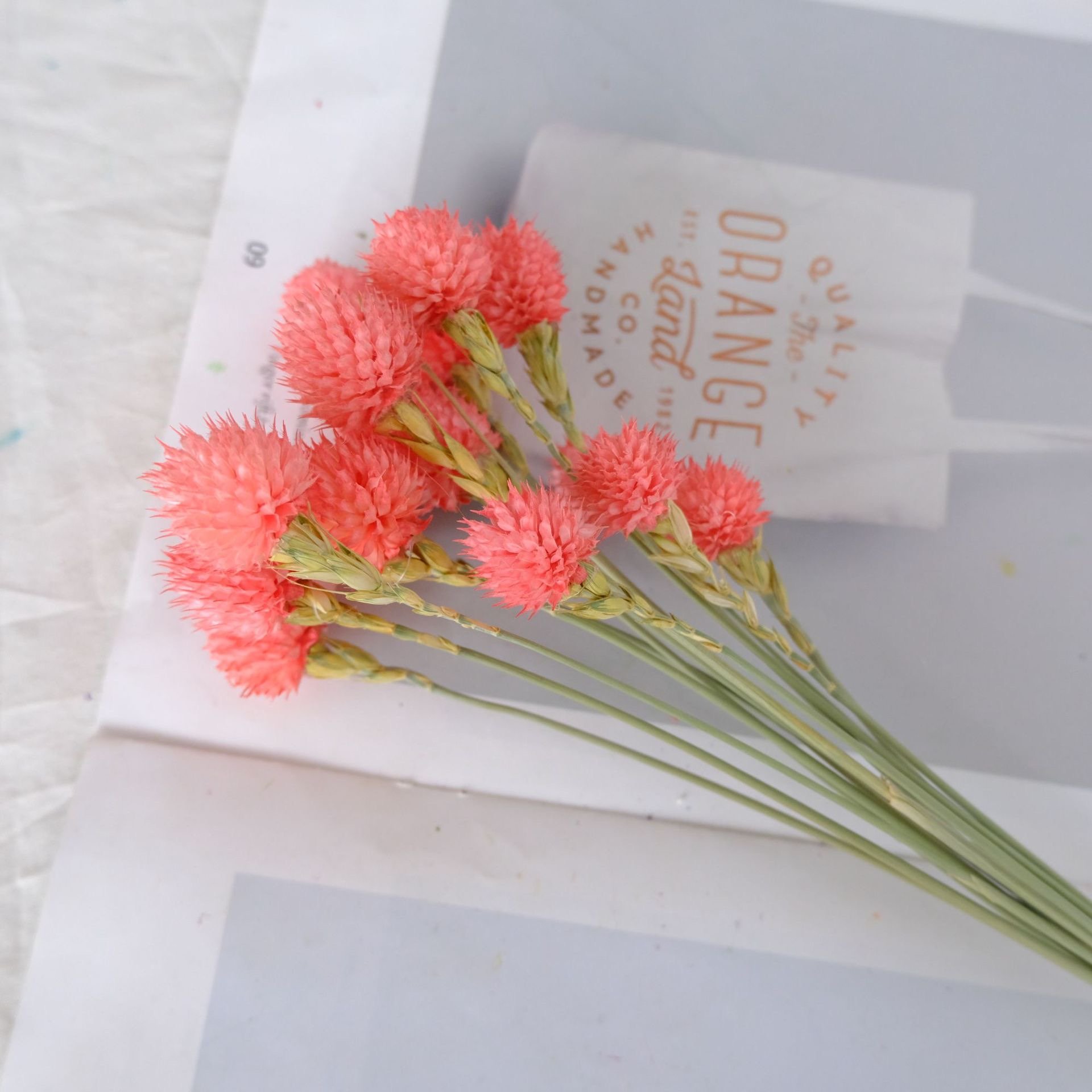 Hot Selling Dried Plant Strawberry Fruit Flower Gomphrena Provided to Wedding Decor Love Office and Birthday Gift Dried F