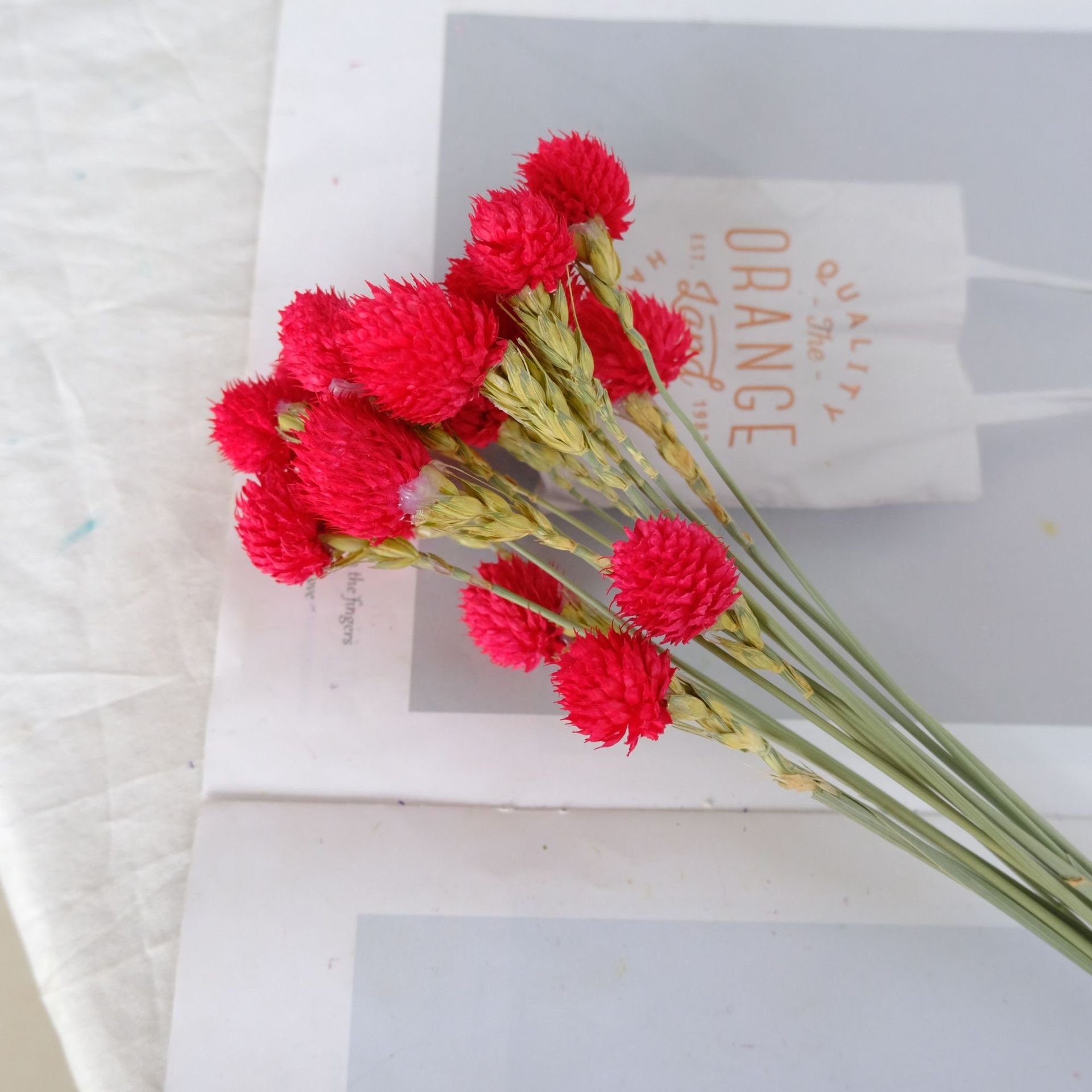 Hot Selling Dried Plant Strawberry Fruit Flower Gomphrena Provided to Wedding Decor Love Office and Birthday Gift Dried F
