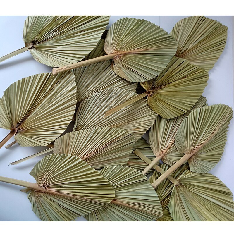 Sumflora Factory supply wedding decor preserved flower made in China dry flowers palm-leaf fan