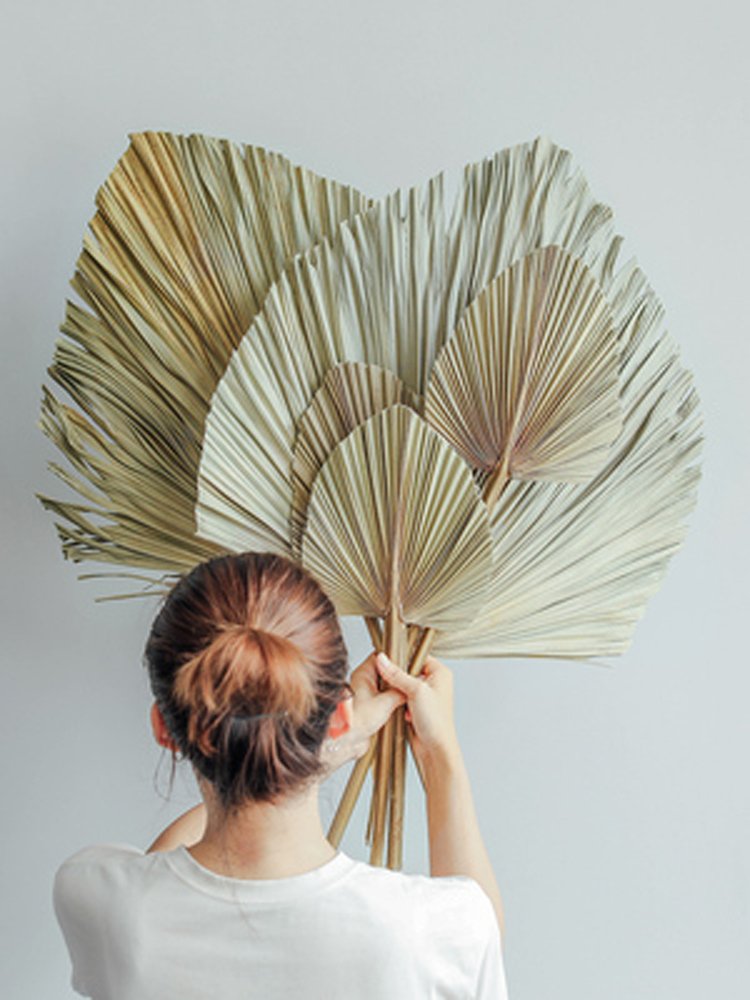 Sumflora Factory supply wedding decor preserved flower made in China dry flowers palm-leaf fan