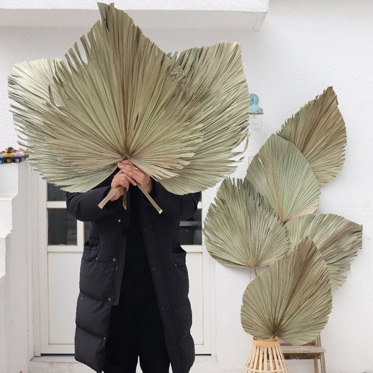 Sumflora Factory supply wedding decor preserved flower made in China dry flowers palm-leaf fan