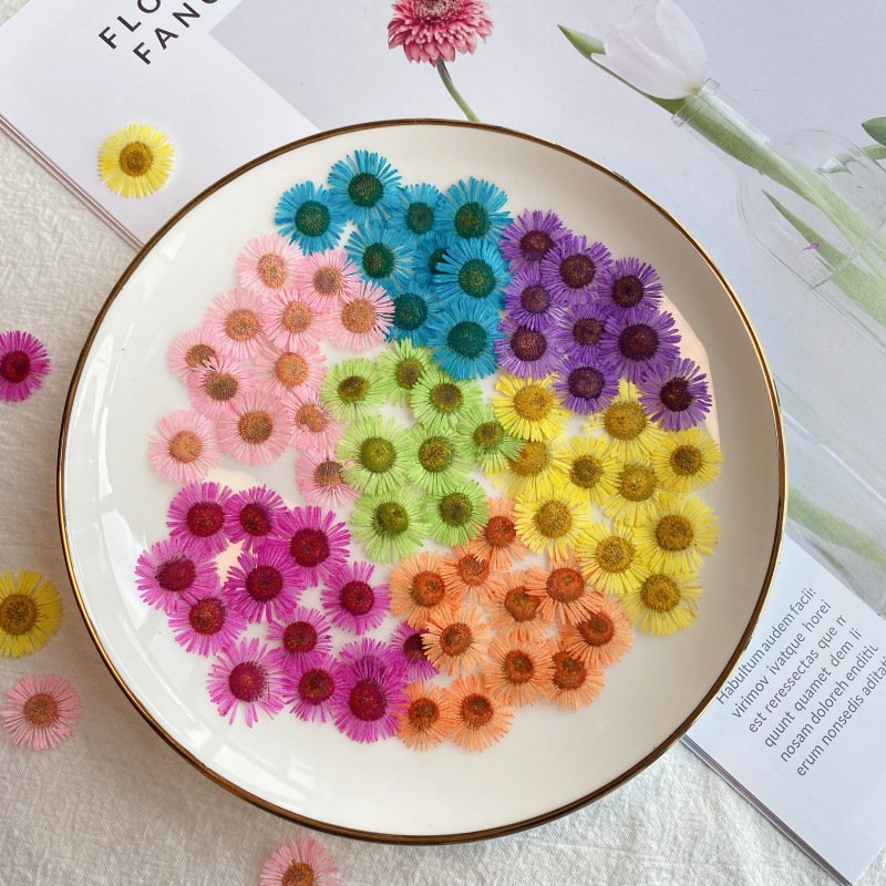 hot sale diy art mix natural real dried pressed daisy flowers for resin nails