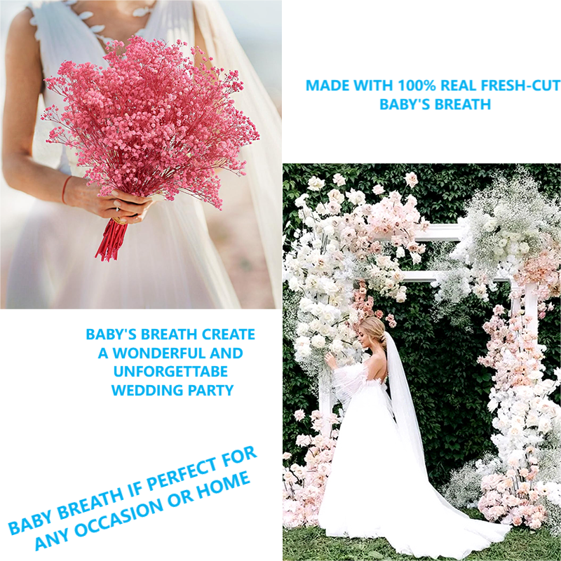 Dried Babys Breath Flowers Bulk Preserved Flower Natural Gypsophila Branches For Wedding