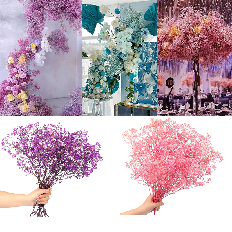 Dried Babys Breath Flowers Bulk Preserved Flower Natural Gypsophila Branches For Wedding