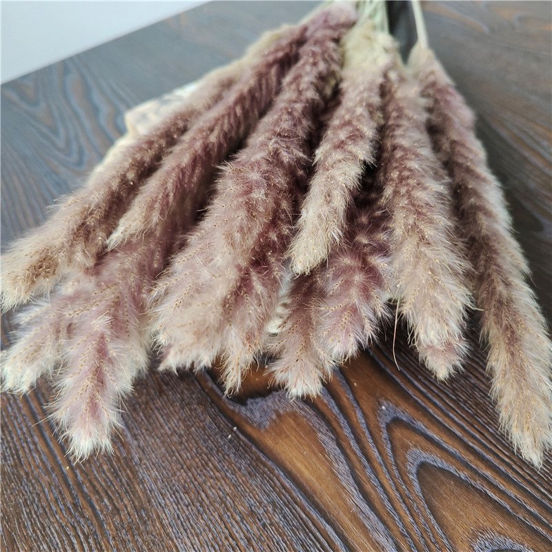 Natural Dried Pampas Grass for Wedding Party Graduation Decorations Home Flower Arrangements Easter Decorative Touch