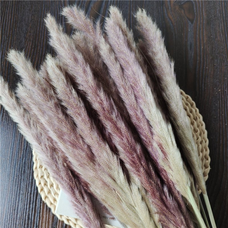 Natural Dried Pampas Grass for Wedding Party Graduation Decorations Home Flower Arrangements Easter Decorative Touch