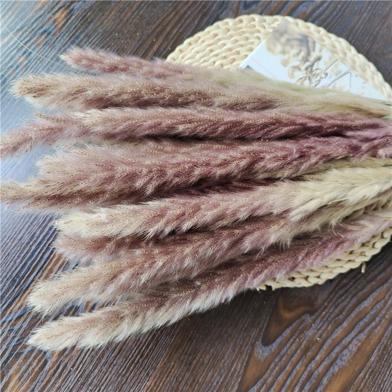 Natural Dried Pampas Grass for Wedding Party Graduation Decorations Home Flower Arrangements Easter Decorative Touch