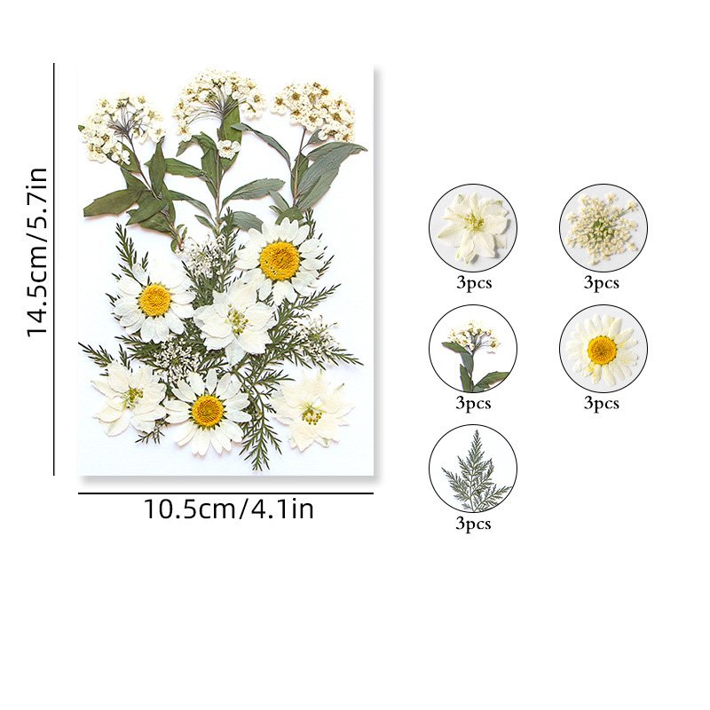 Bulk Wholesale High Quality Pressed Flowers Natural Dried Flowers for Soap Candle Making Resin Crafts DIY Materials