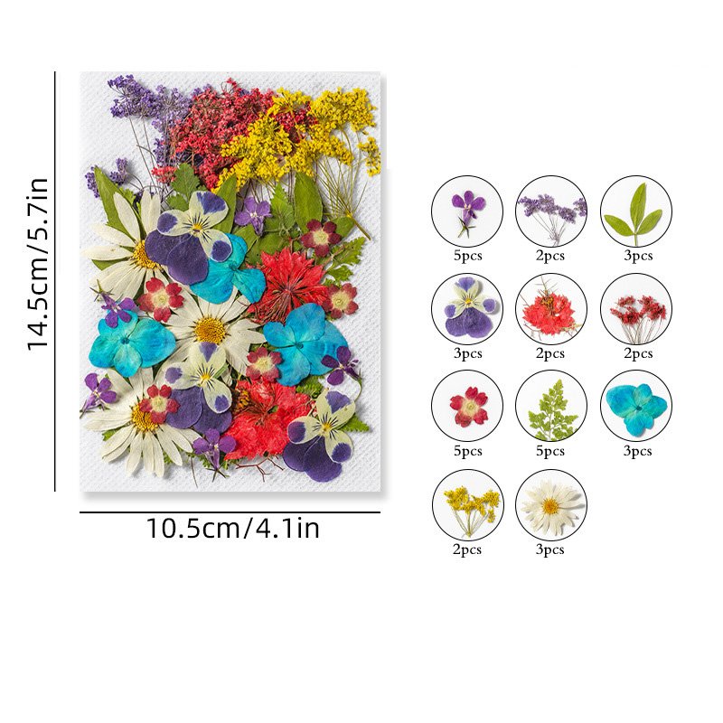 Bulk Wholesale High Quality Pressed Flowers Natural Dried Flowers for Soap Candle Making Resin Crafts DIY Materials