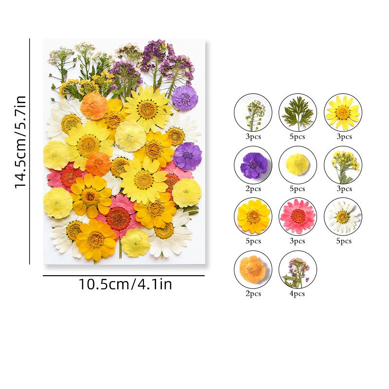 Bulk Wholesale High Quality Pressed Flowers Natural Dried Flowers for Soap Candle Making Resin Crafts DIY Materials