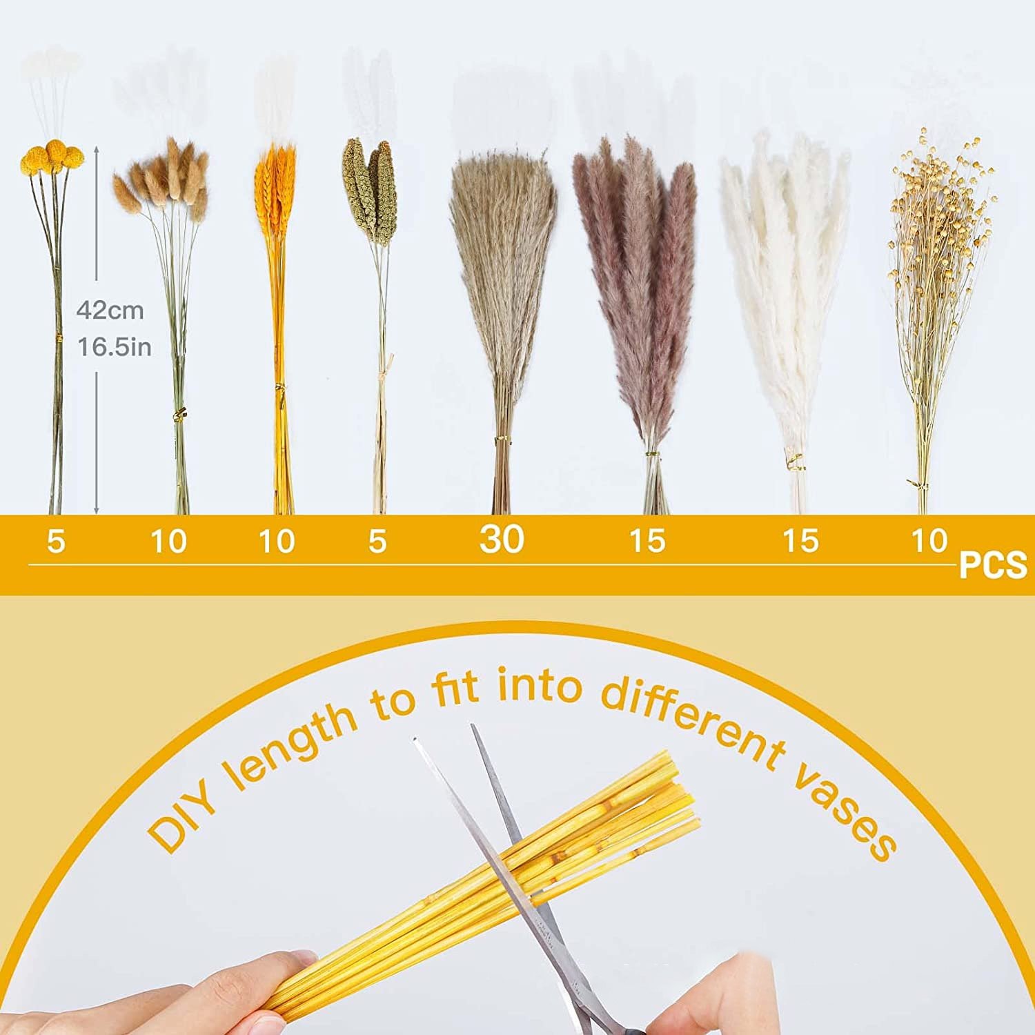 Pampaspampas Grass Beige Natural Pampass Dried Flower Backdrop Stage Twhitewedding Pampagras100pcs Carton Box Easter Decoration