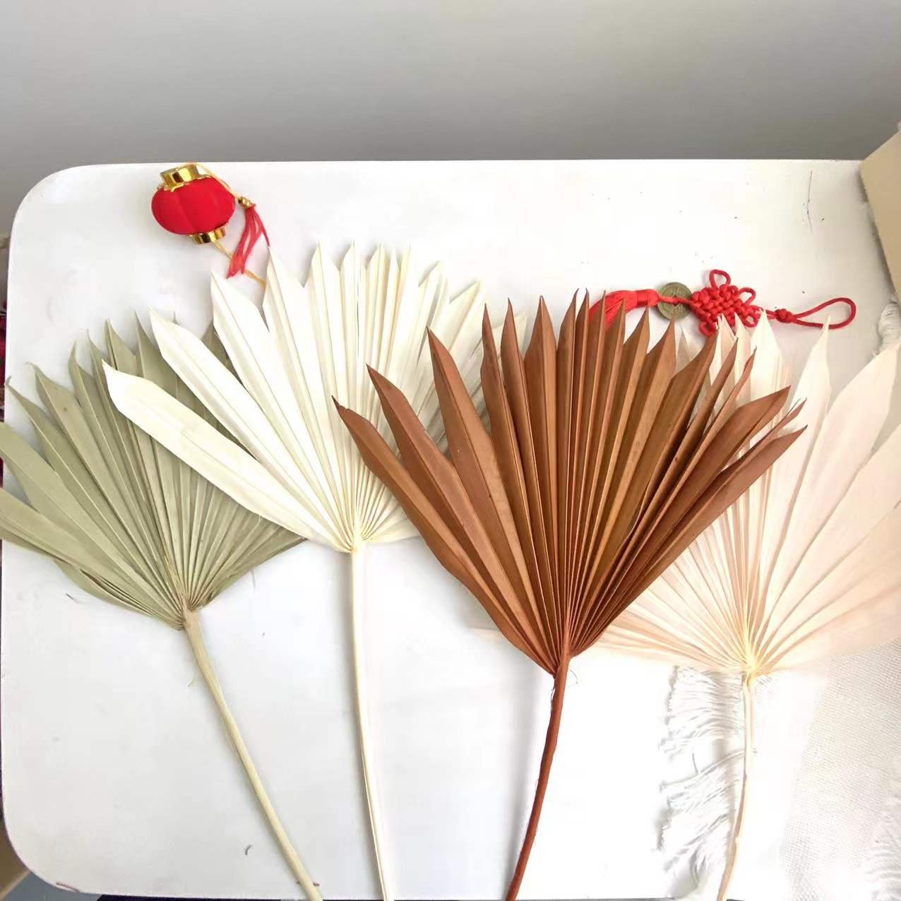Best Selling Dried Palm Leaves Colorful Sun Palm Leaves