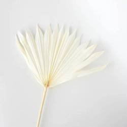 White.