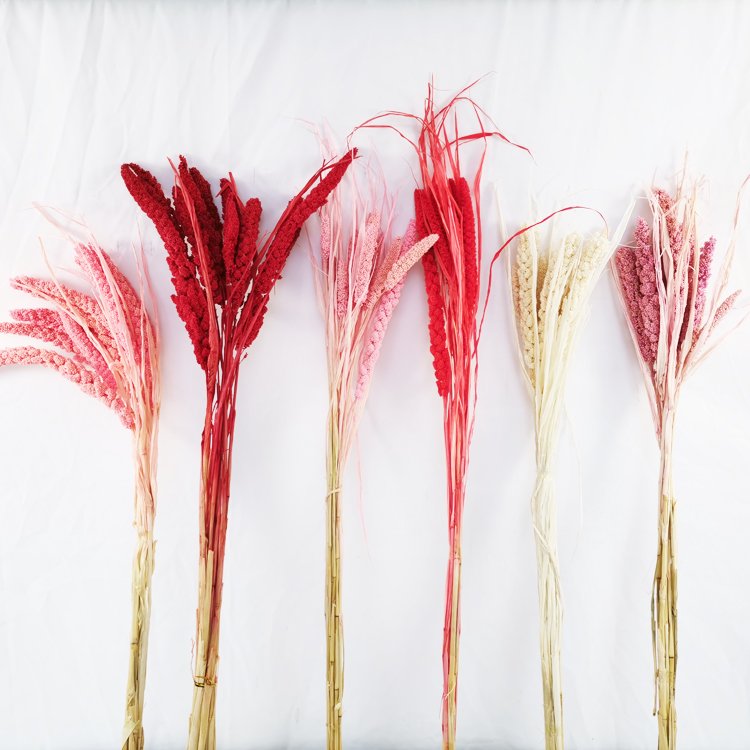 Sumflora Arrangement indoor plant green Decorative Flower Garland Long Lasting forever foliage dried flowers millet