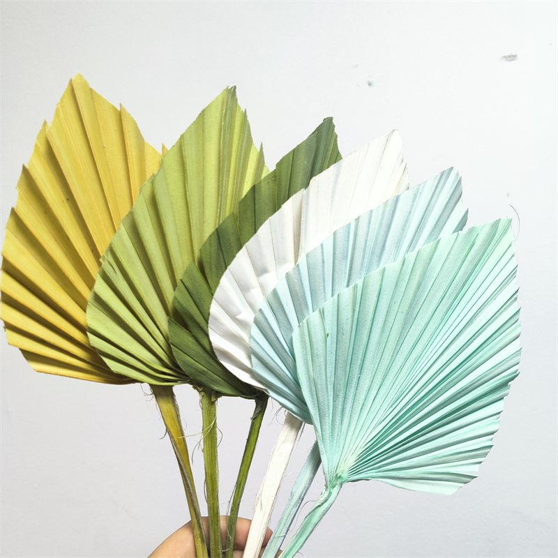 Fast Delivery Pampas Artificial Dried Flower Leaf Decorative Preserved Leaf Palm Tree Leaves