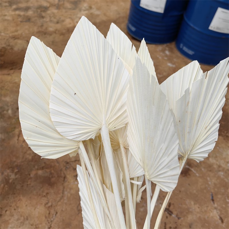 Fast Delivery Pampas Artificial Dried Flower Leaf Decorative Preserved Leaf Palm Tree Leaves