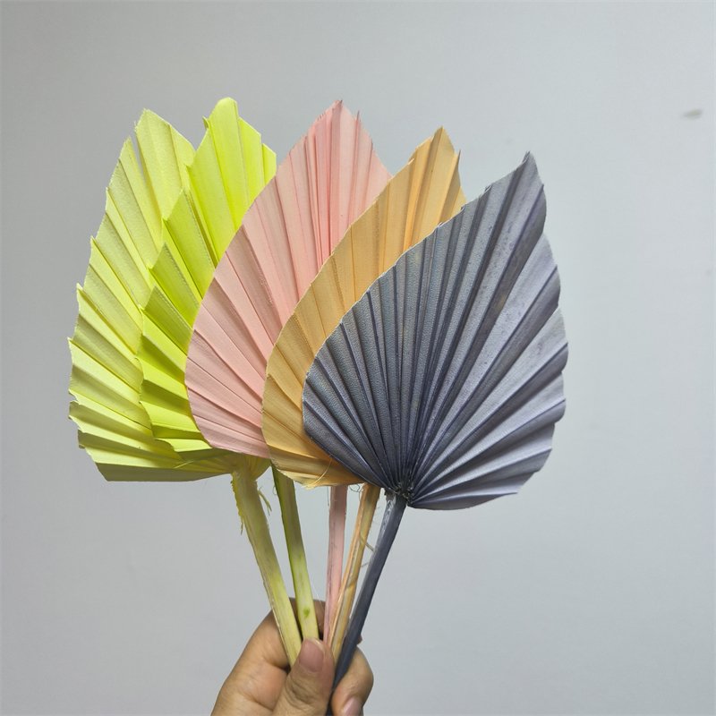 Fast Delivery Pampas Artificial Dried Flower Leaf Decorative Preserved Leaf Palm Tree Leaves