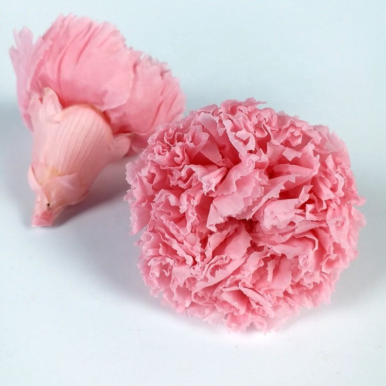 2024 Hot sale preserved Flower Real Touch Carnation Decorative Flowers Wreaths carnation flowers