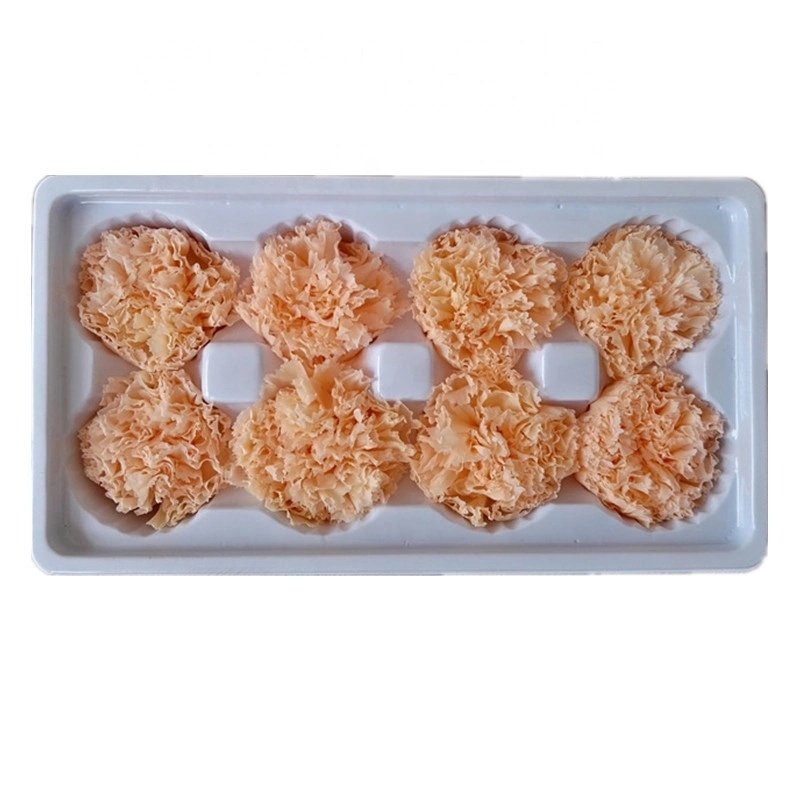 2024 Hot sale preserved Flower Real Touch Carnation Decorative Flowers Wreaths carnation flowers