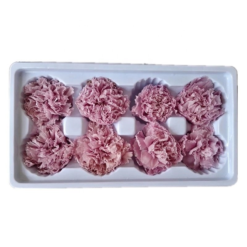 2024 Hot sale preserved Flower Real Touch Carnation Decorative Flowers Wreaths carnation flowers