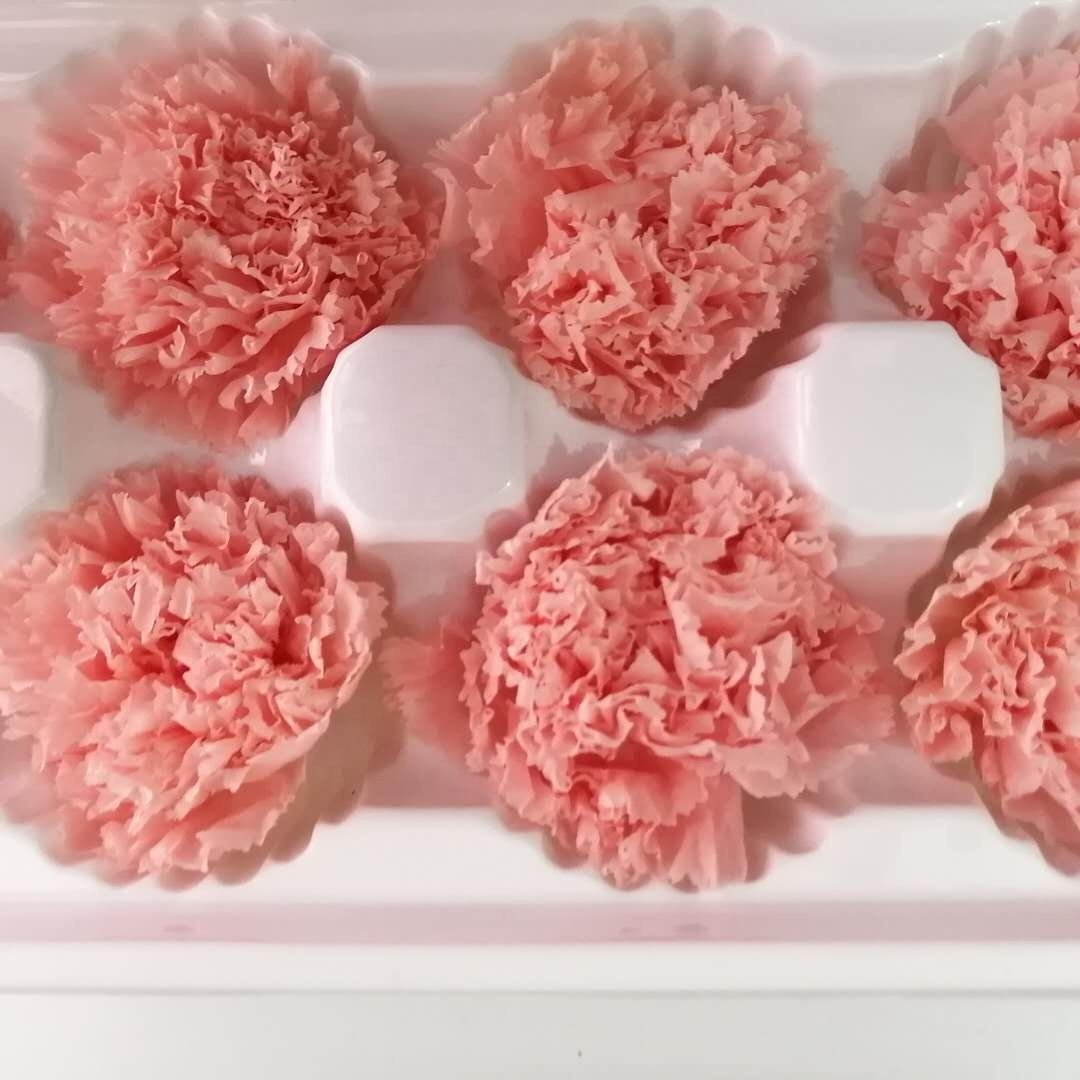 2024 Hot sale preserved Flower Real Touch Carnation Decorative Flowers Wreaths carnation flowers