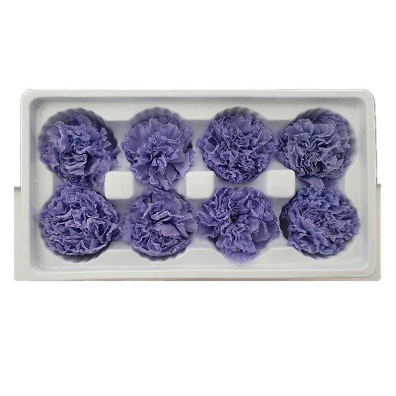 2024 Hot sale preserved Flower Real Touch Carnation Decorative Flowers Wreaths carnation flowers