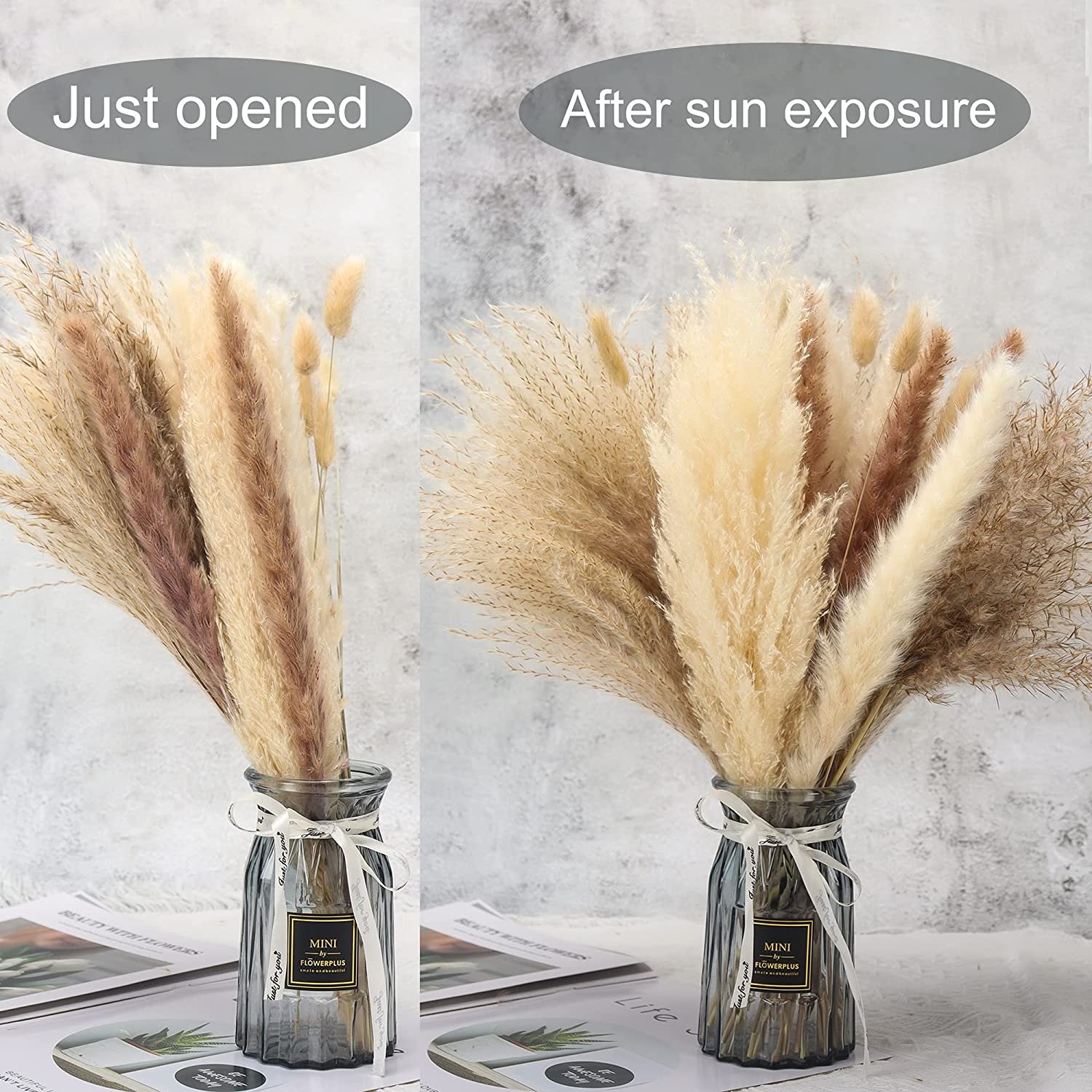 Dried Flower Bouquet High Quality Home Wedding Decor Dried Natural Pampas Reed Grass