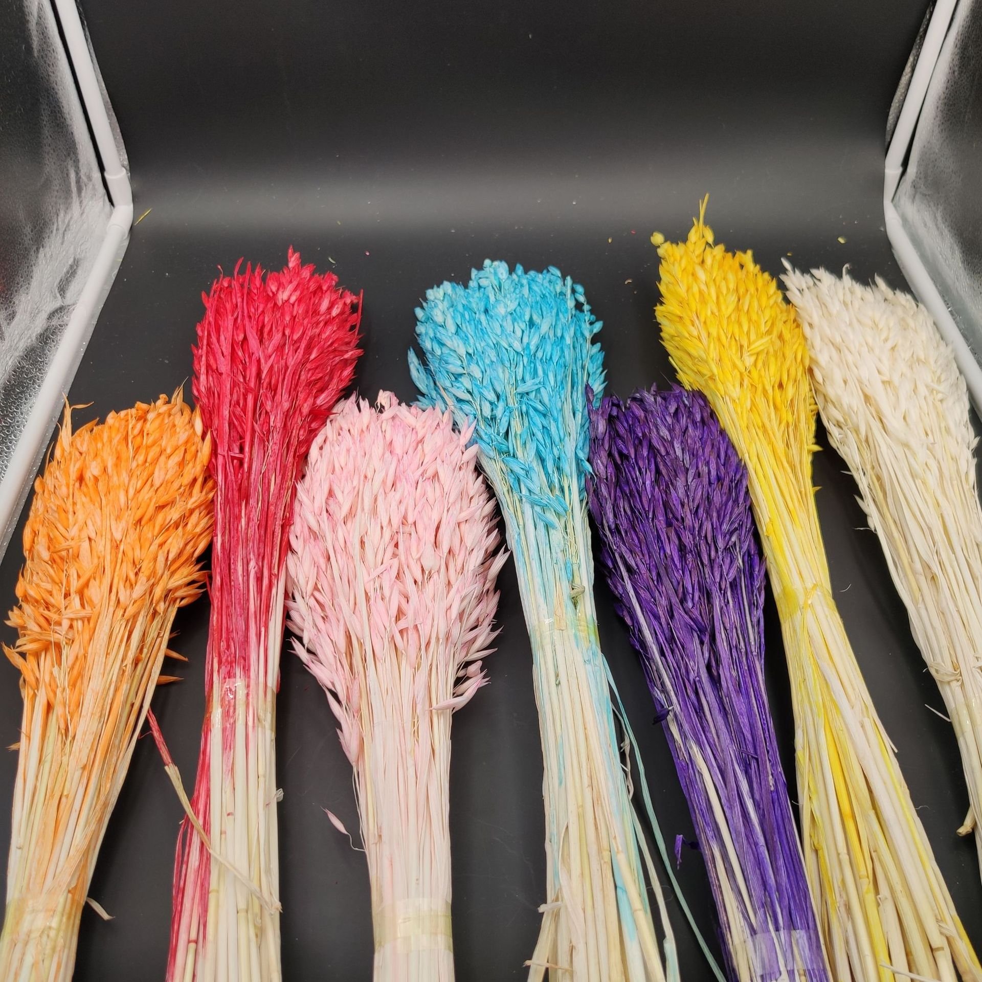 2024 Hot Sale Eco-friendly Dried Floral Dried Oats flowers Avena Sativa for DIY Flower Material