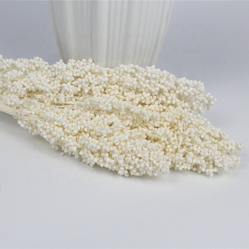 Yunnan flower wholesaler dried sorghum artificial flower for house decor rose box