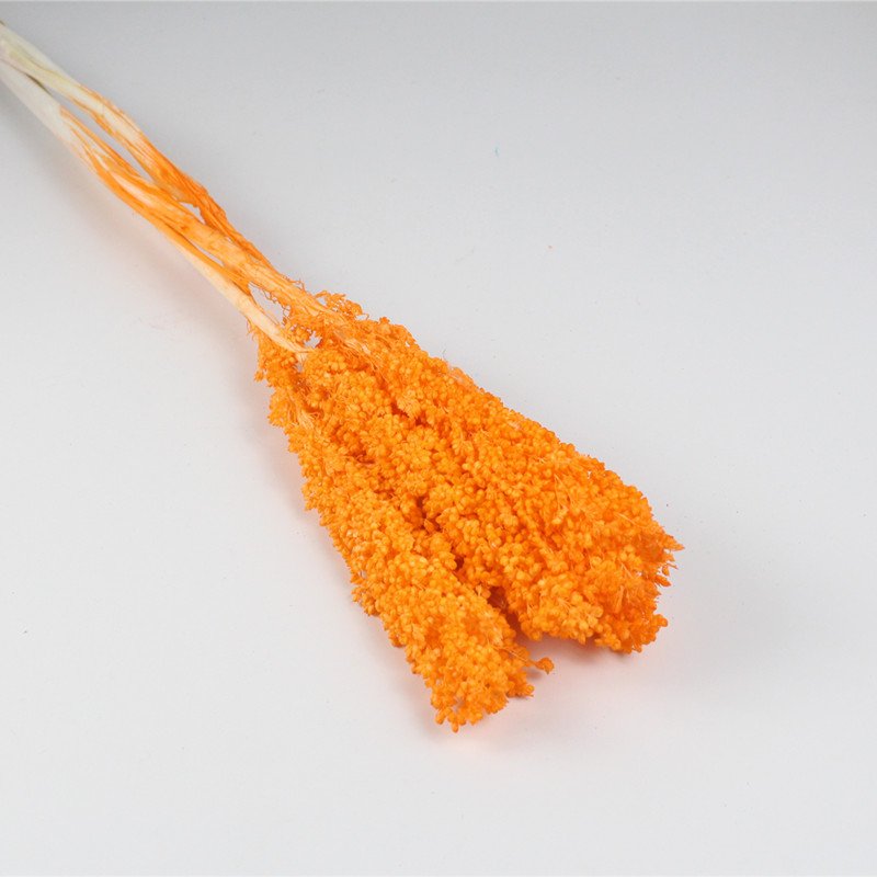 Yunnan flower wholesaler dried sorghum artificial flower for house decor rose box