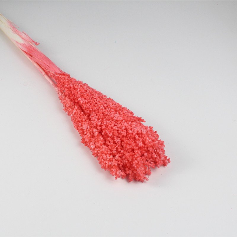 Yunnan flower wholesaler dried sorghum artificial flower for house decor rose box
