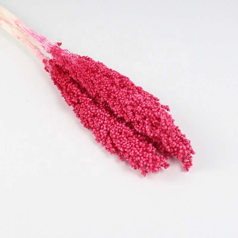 Yunnan flower wholesaler dried sorghum artificial flower for house decor rose box
