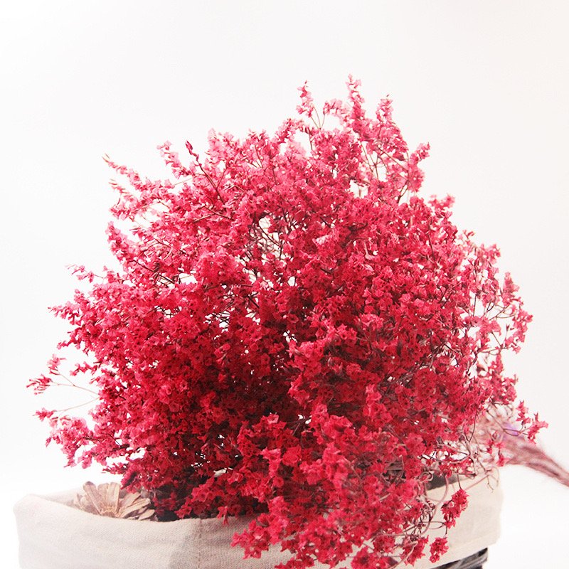 Dried flowers plants preserved flowers limonium Crystal Grass Bouquet Dry Flower For Home Decor