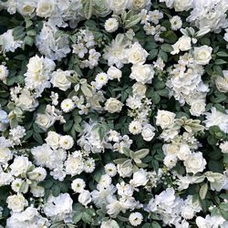 White+Green