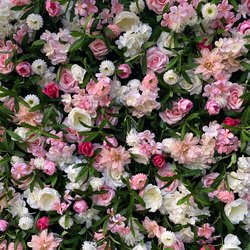 Pink+Green
