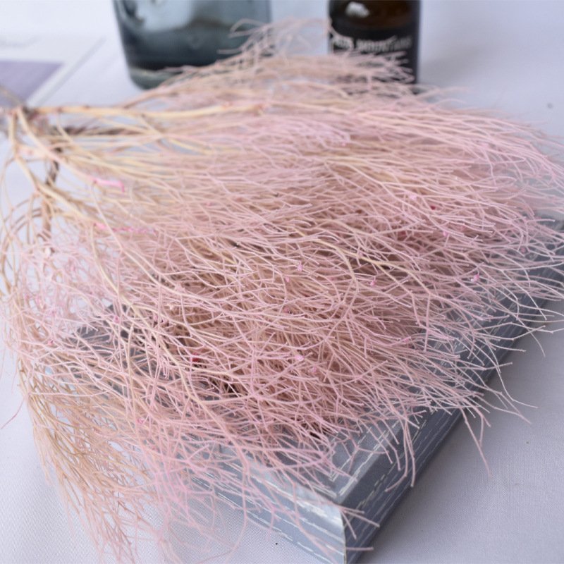 wholesale high quality dried flowers & plants boho style bunches of real natural soft dream grass dried flowers for decoration