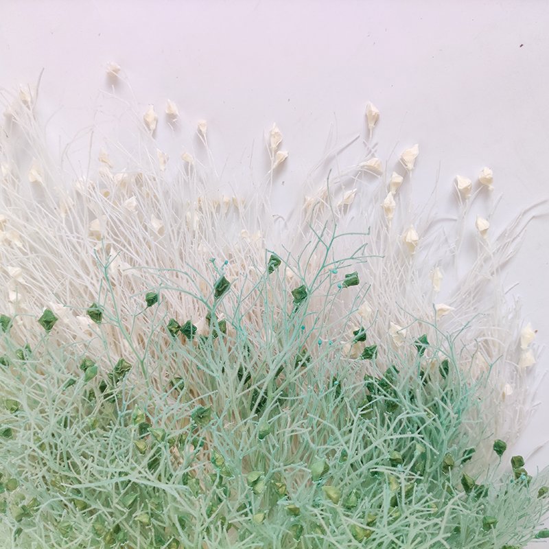 wholesale high quality dried flowers & plants boho style bunches of real natural soft dream grass dried flowers for decoration