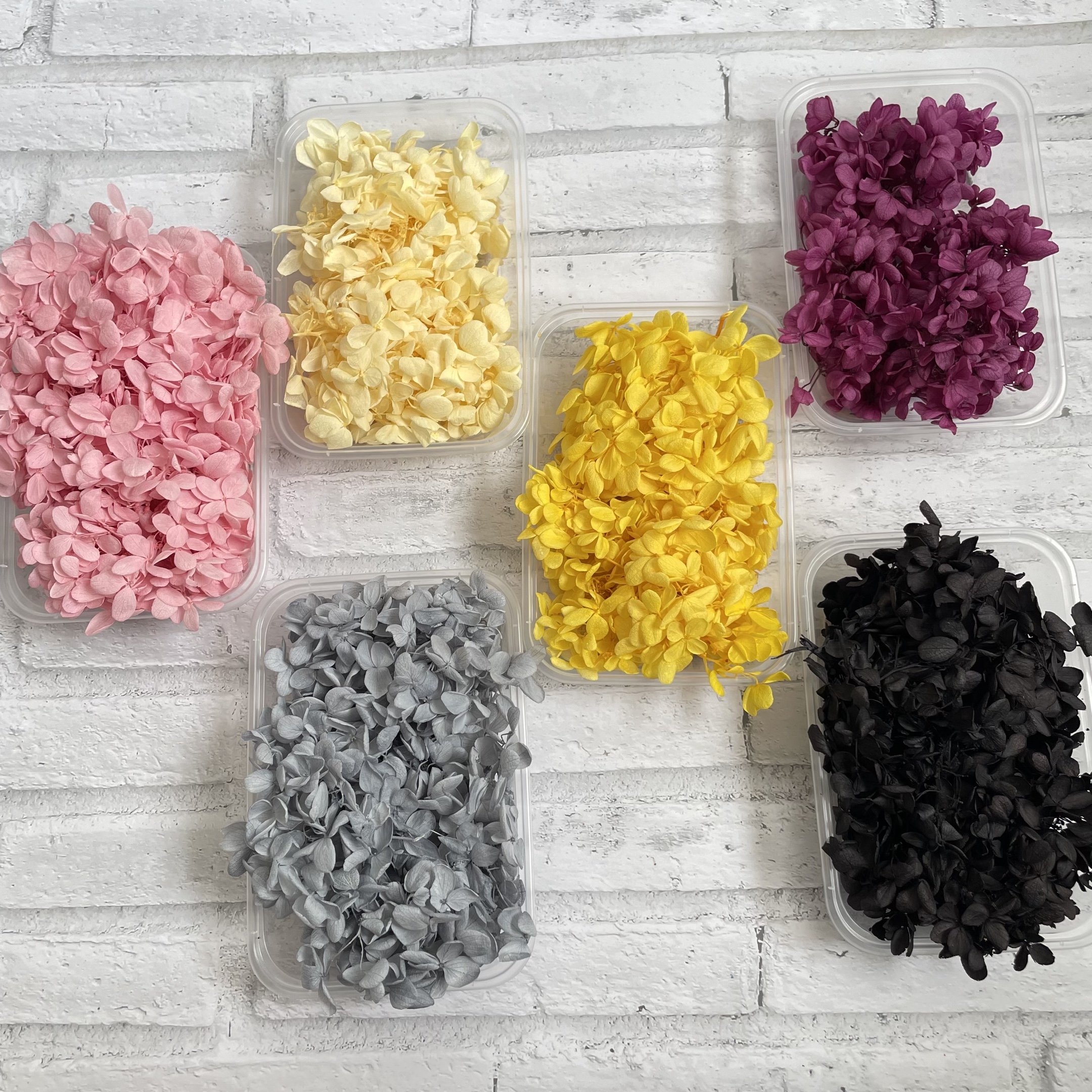 Wholesale Dried Flowers Real Flowers Preserved Hydrangea 10g In Box For Flower Decoration