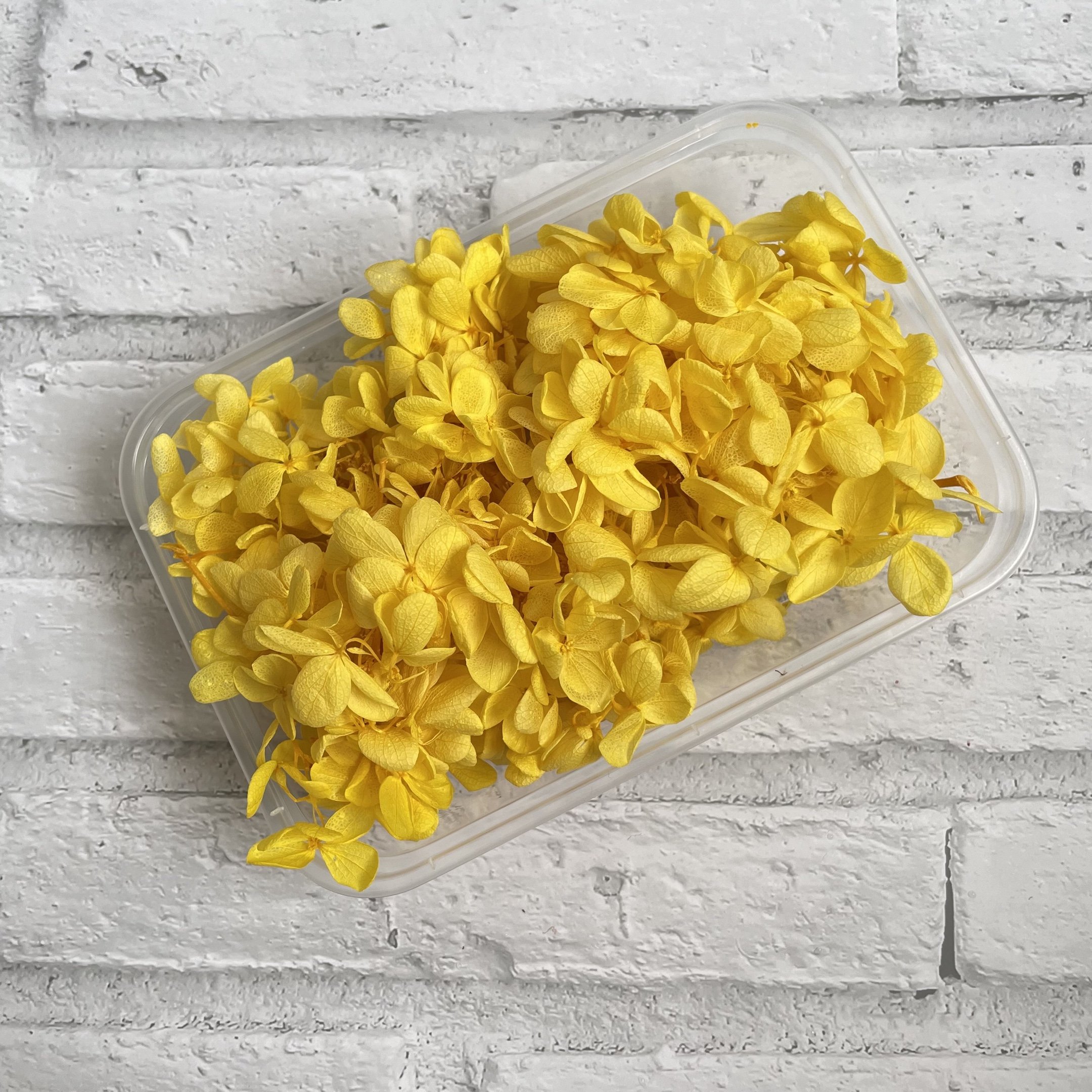 Wholesale Dried Flowers Real Flowers Preserved Hydrangea 10g In Box For Flower Decoration