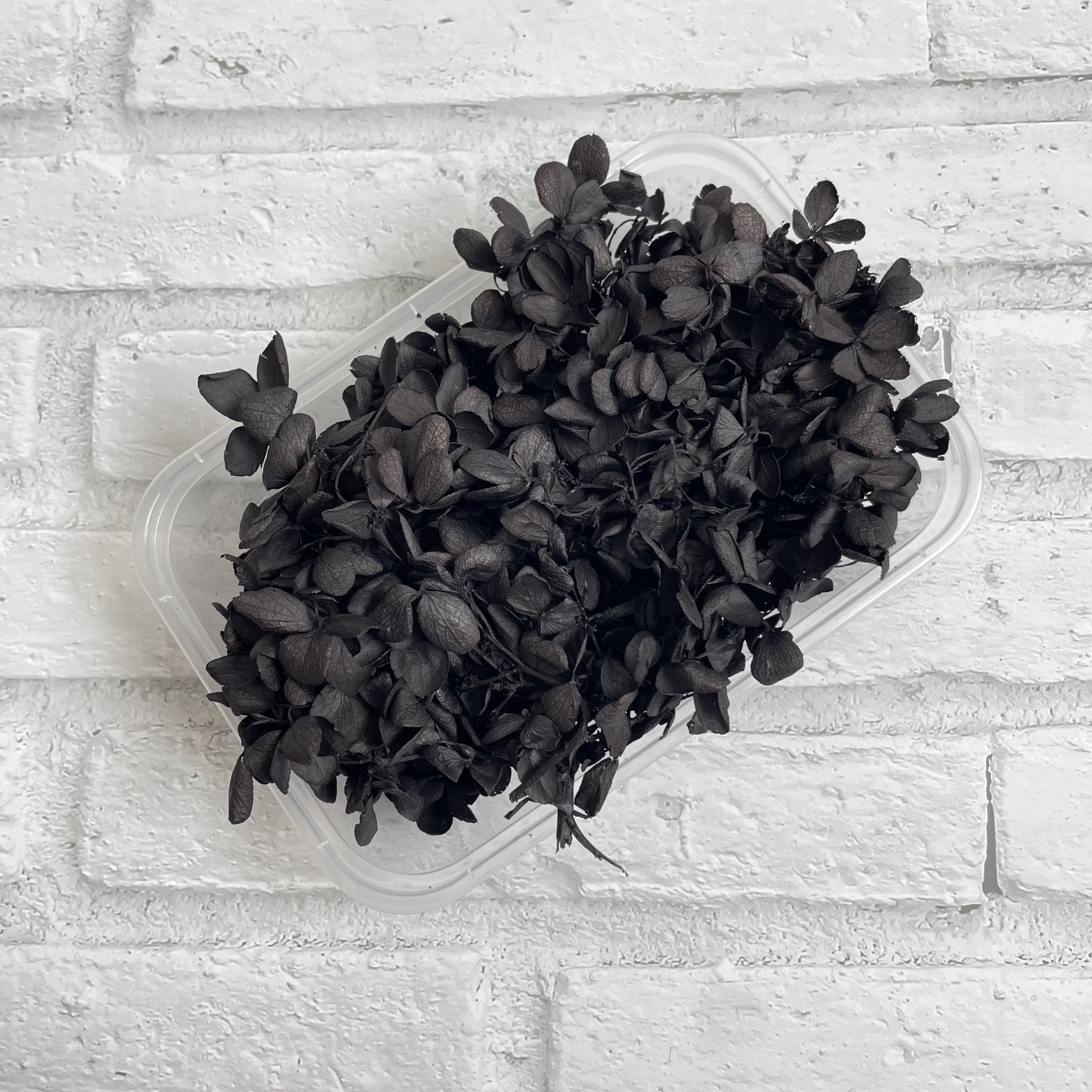 Wholesale Dried Flowers Real Flowers Preserved Hydrangea 10g In Box For Flower Decoration