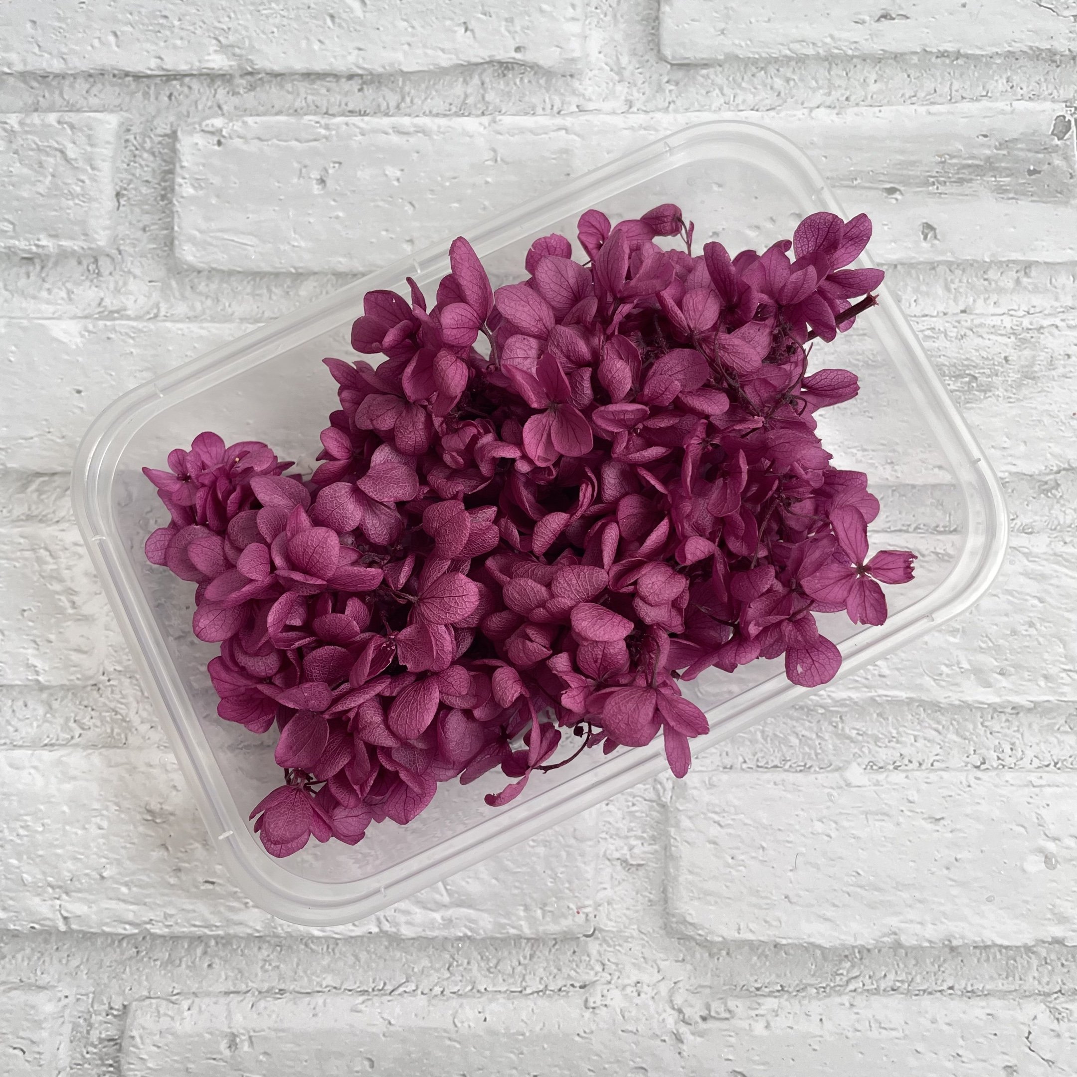 Wholesale Dried Flowers Real Flowers Preserved Hydrangea 10g In Box For Flower Decoration
