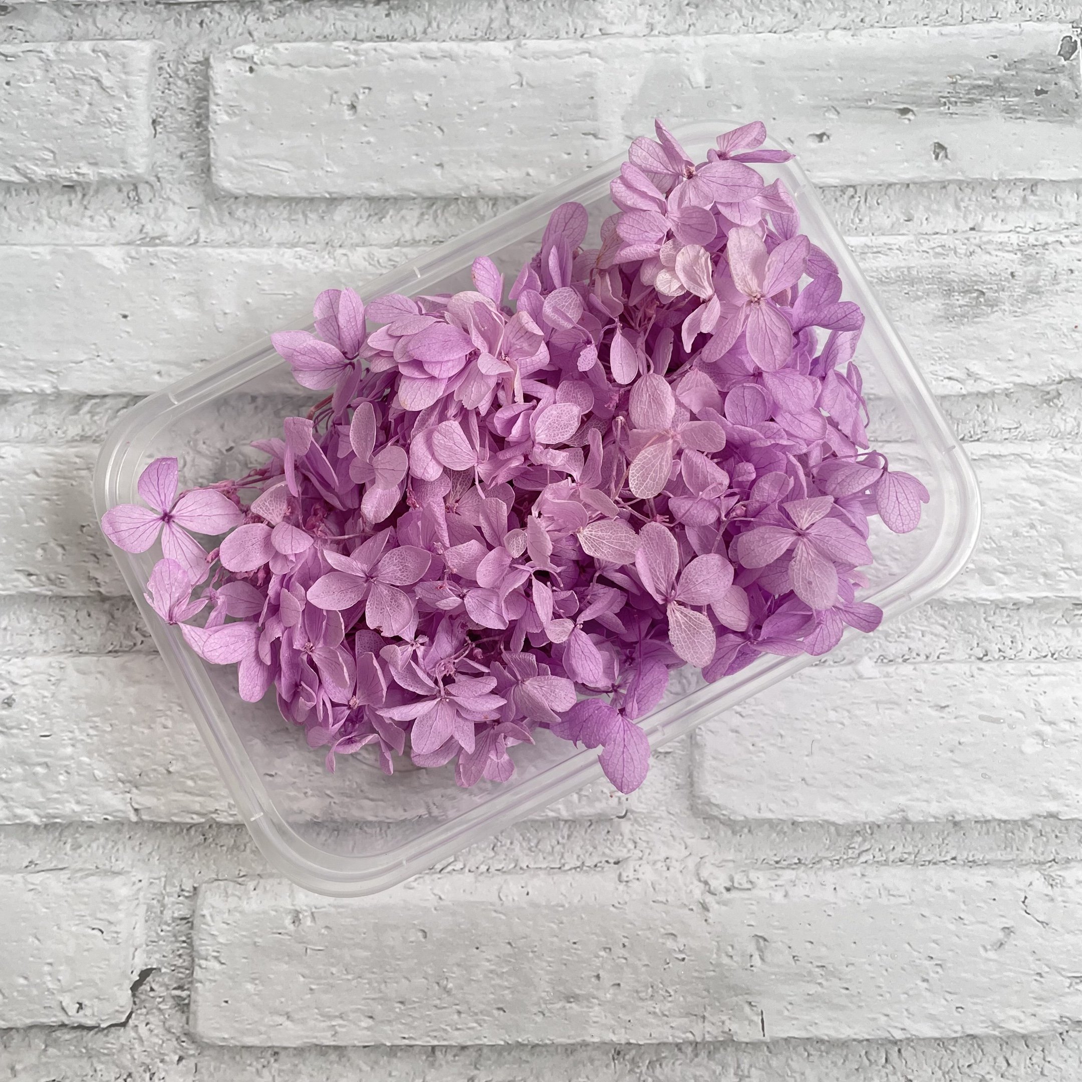 Wholesale Dried Flowers Real Flowers Preserved Hydrangea 10g In Box For Flower Decoration