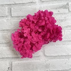 Rosy
