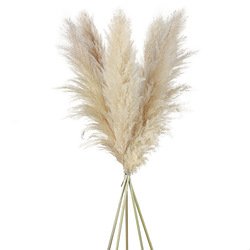 60-70cm