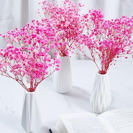 Preserved Baby's Breath 3 Bunches 100% Natrual Fresh Gypsophila Long Lasting Flowers for Home Decoration Photo and Weddings