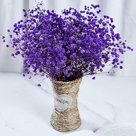 Preserved Baby's Breath 3 Bunches 100% Natrual Fresh Gypsophila Long Lasting Flowers for Home Decoration Photo and Weddings