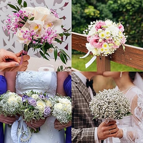 Preserved Baby's Breath 3 Bunches 100% Natrual Fresh Gypsophila Long Lasting Flowers for Home Decoration Photo and Weddings